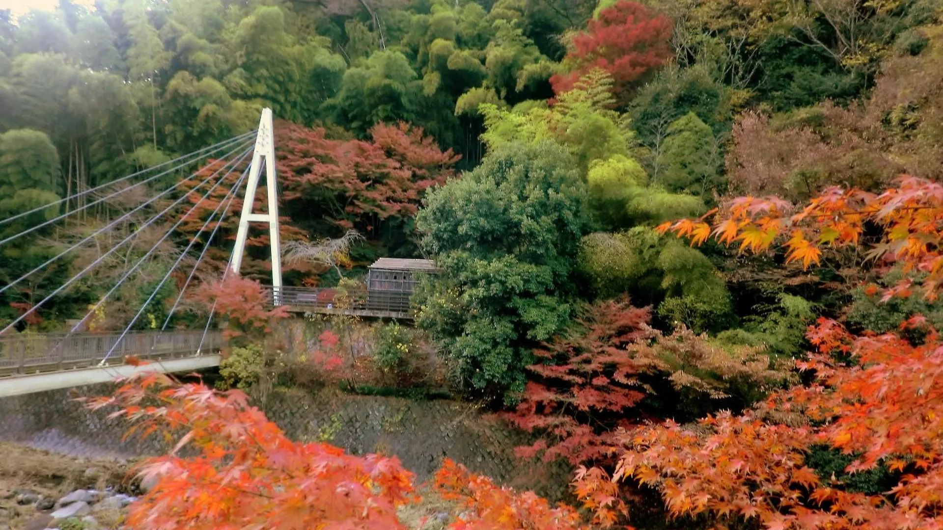 Hotel Shiunso Hakone Giappone