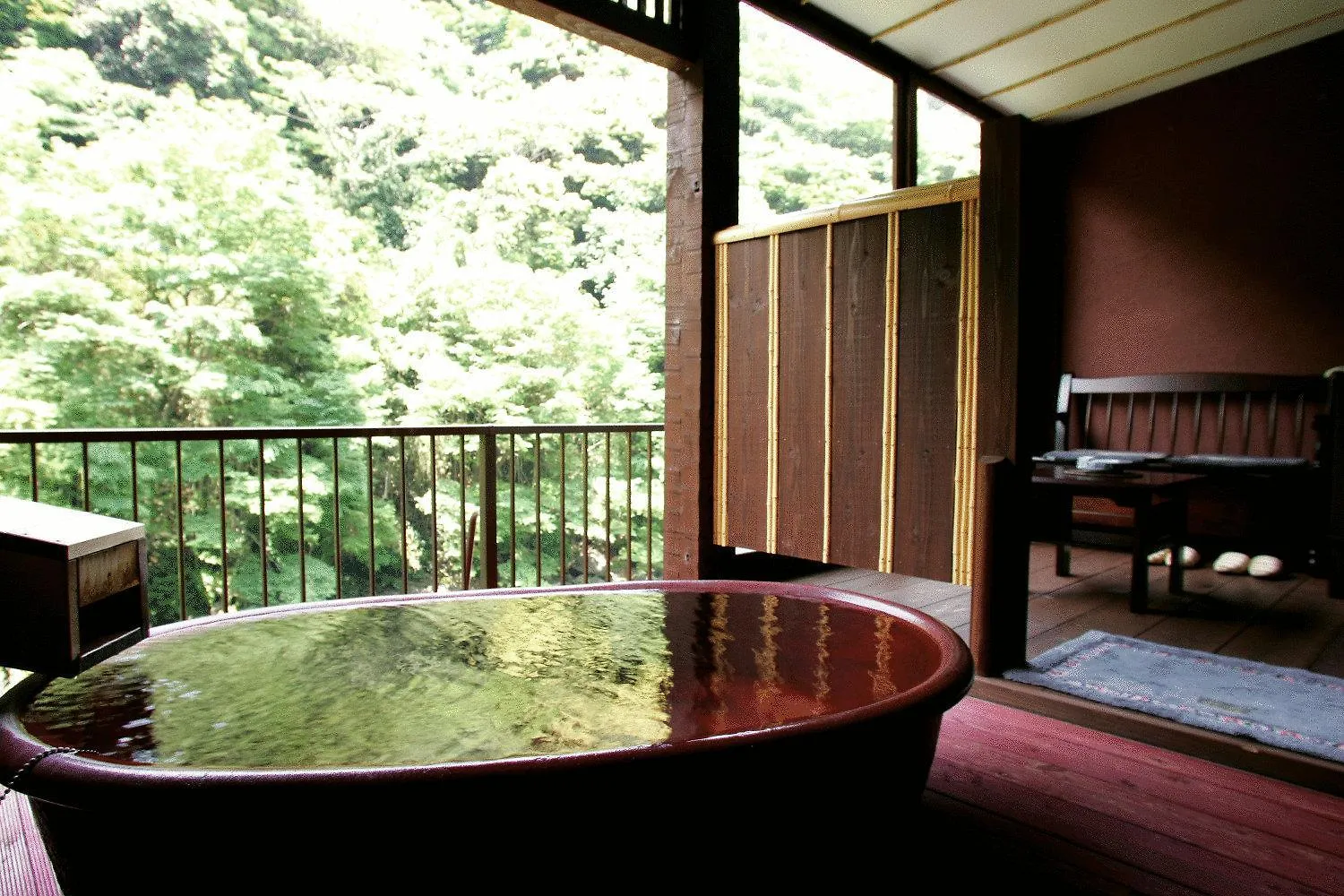 Hotel Shiunso Hakone 4*,