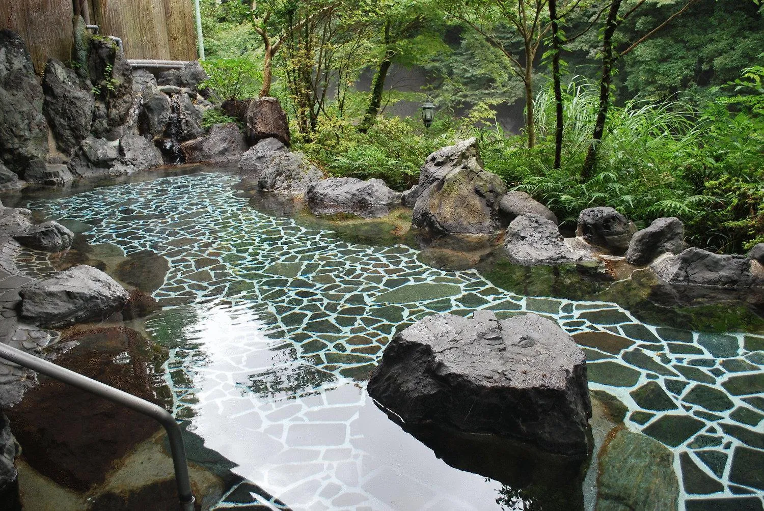 **** Ryokan Hotel Shiunso Hakone Giappone