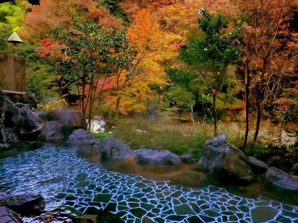 Ryokan Hotel Shiunso Hakone