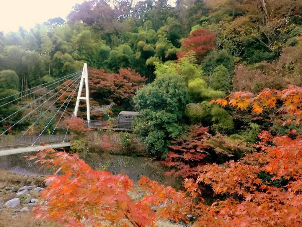 Hotel Shiunso Hakone