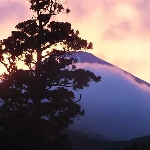 Hananoyado Fukuya Ryokan (tradycyjny japoński pensjonat lub zajazd)