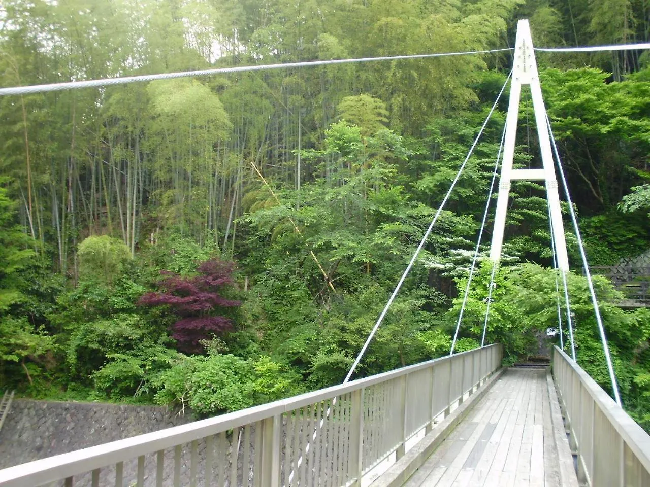 Shiunso Hotel Hakone